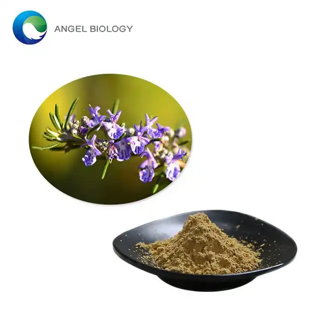 Rosemary Extract Powder